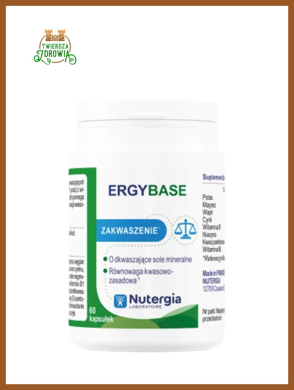 Ergybase
