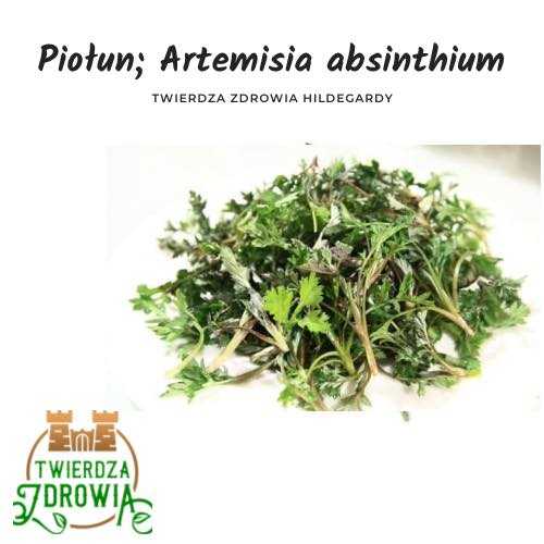 Read more about the article USUWAJ TRUCIZNY MOCĄ PIOŁUNU