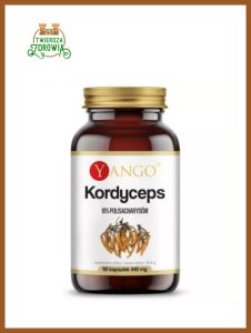 kordyceps