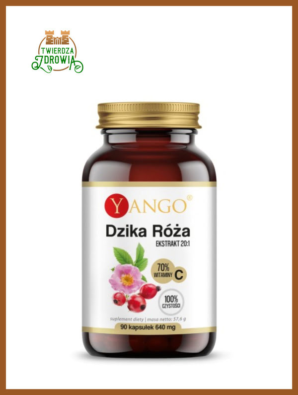 Dzika róża